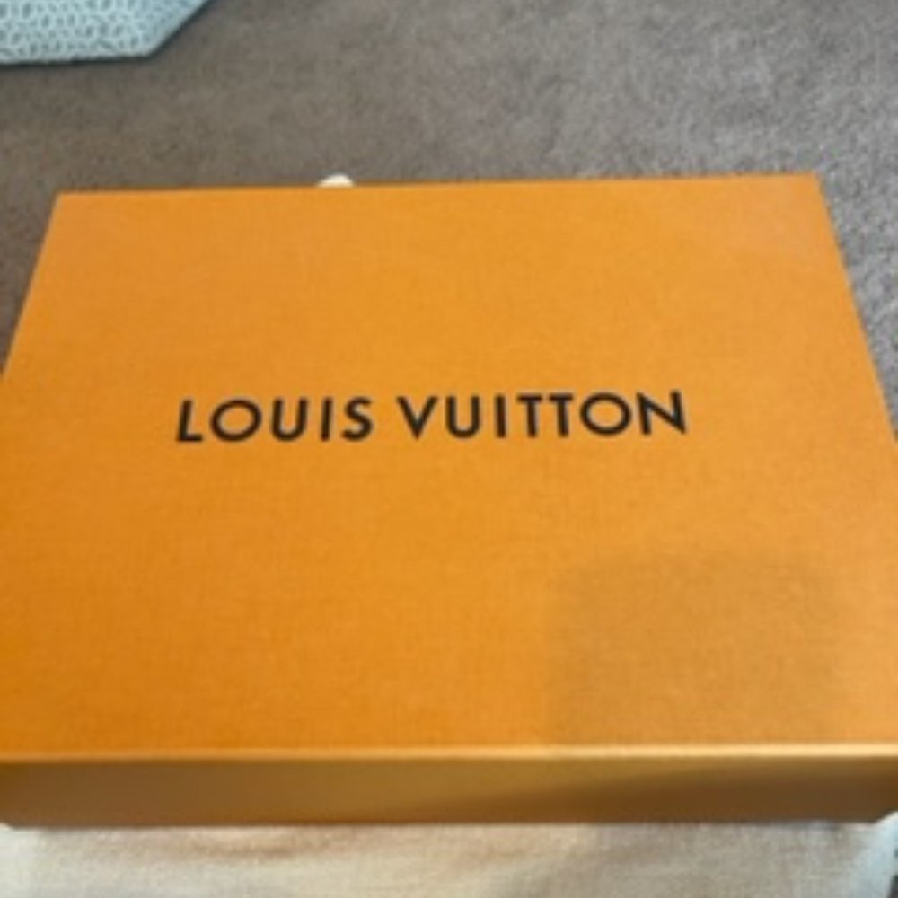 Louis Vuitton Crossbody - Picture 8 of 8